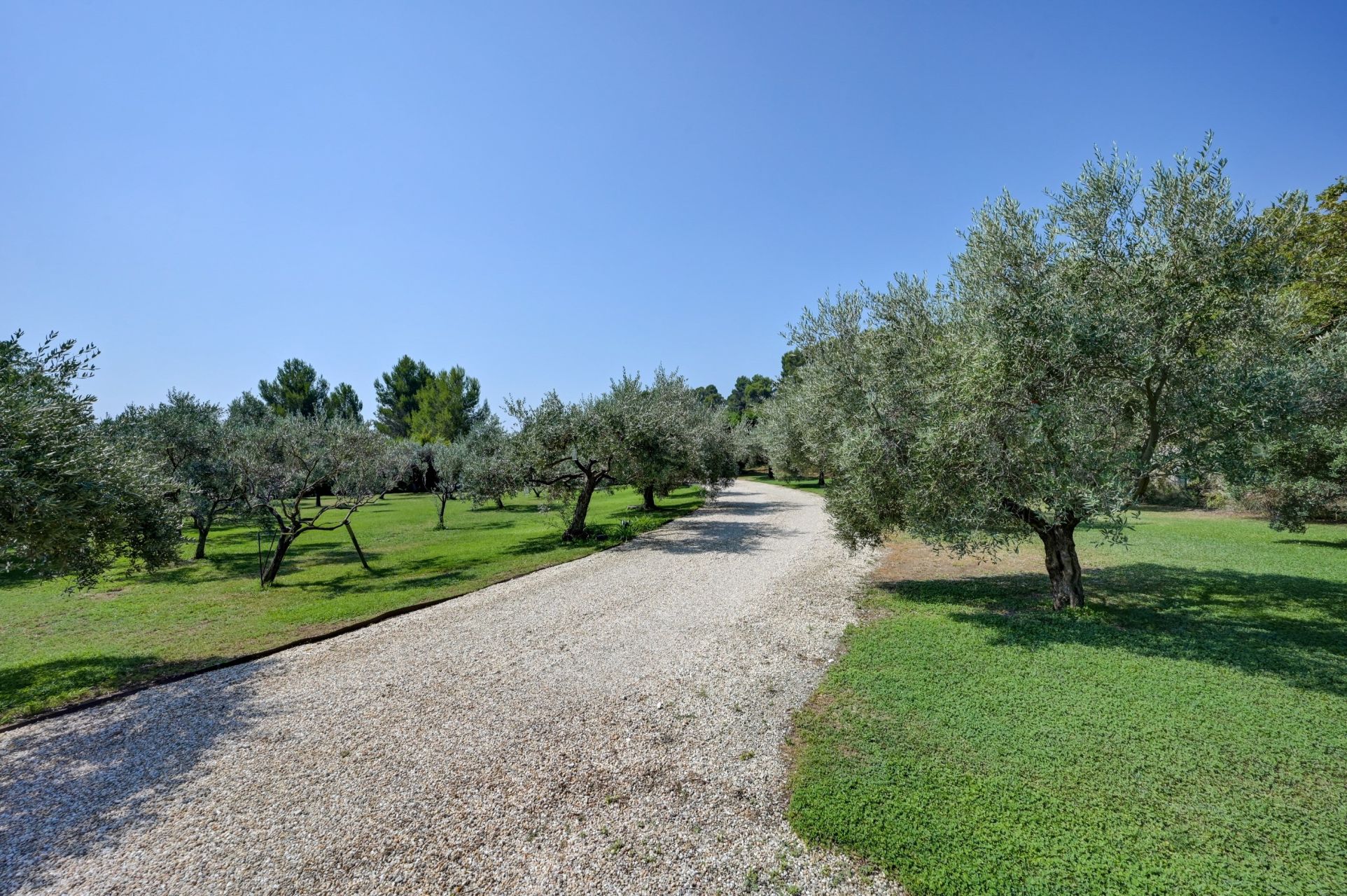 house 9 Rooms for sale on NOVES (13550)