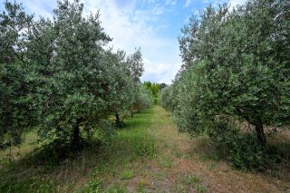 maison 15 Pièces en vente sur AIX EN PROVENCE (13100)