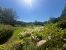 house 8 Rooms for sale on MAILLANE (13910)