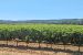 propriété viticole 30 Pièces en vente sur AIX EN PROVENCE (13100)