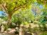house 8 Rooms for sale on PLAN D ORGON (13750)