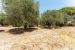 maison 6 Pièces en vente sur ST REMY DE PROVENCE (13210)