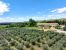 house 25 Rooms for sale on MAUSSANE LES ALPILLES (13520)